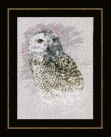 Snowy Owl, kit broderie sur toile Ada Lanarte