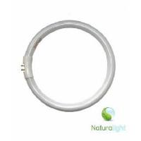 Tube circulaire 22 Watt Naturalight Daylight / Ref DN0002