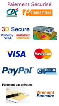 logo etransaction