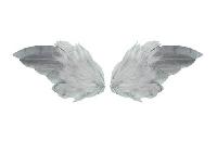 Ailes Tilda, plumes vritables,  2 paires