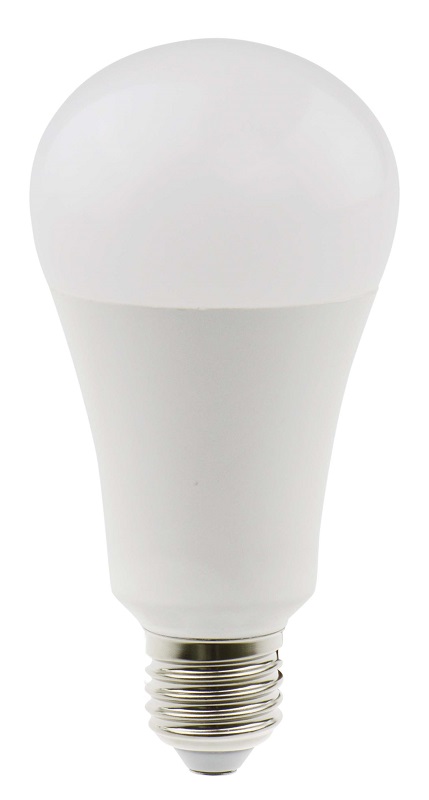 Ampoule LED LUXEN GLOBE G120 17W 1521 lumens Blanc lumière du jour 6500K E27