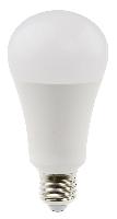 Ampoule LED 15 Watt  à vis E27 Daylight / Ref D15500 