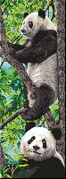 Les Pandas, canevas Luc Crations, 30 X 65 cm