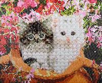 Chatons dans le pot de fleurs, kit Diamant et Peinture 