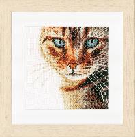 Chat, kit broderie sur toile Ada Lanarte