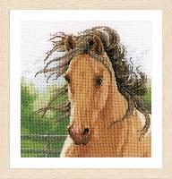 Cheval, kit broderie sur toile Ada Lanarte