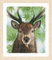 Fier Cerf Rouge, kit broderie sur toile tamine Lanarte