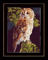 Hibou, kit broderie sur toile Ada Lanarte