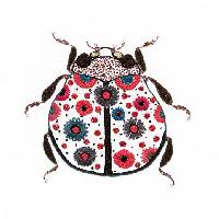 " Anabelle la Coccinelle ", kit broderie < un Chat dans l Aiguille >