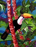 Coco le Toucan, kit canevas Margot de Paris