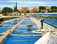 Les marais salants, canevas Rafael Angelo